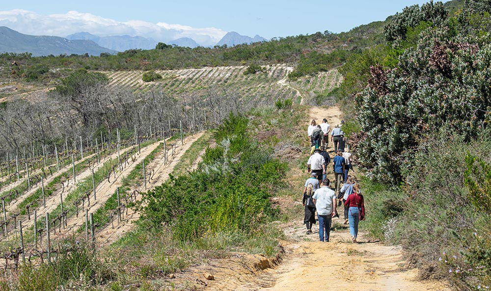 A walk on Vondeling Farm