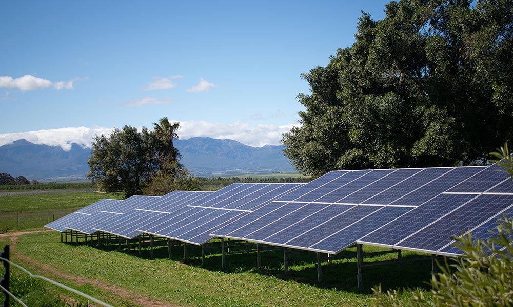 solar panels at Vondeling Wines