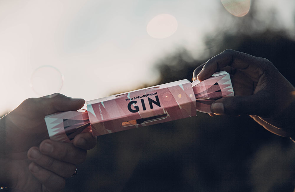 gin-cracker