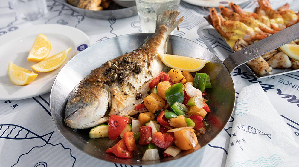 sea-bream-ocean-basket