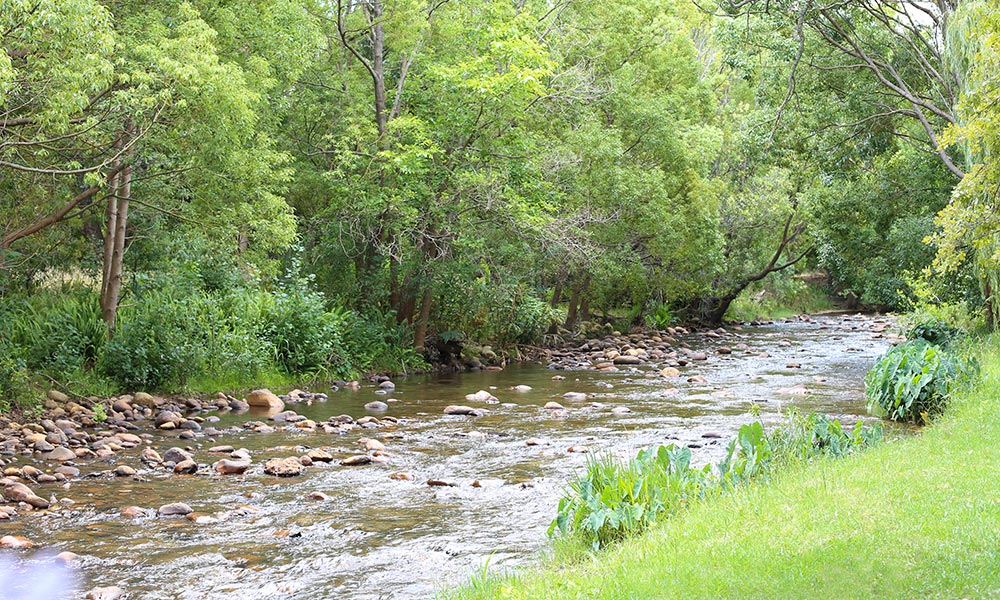 Vergelegen-River-Cafe