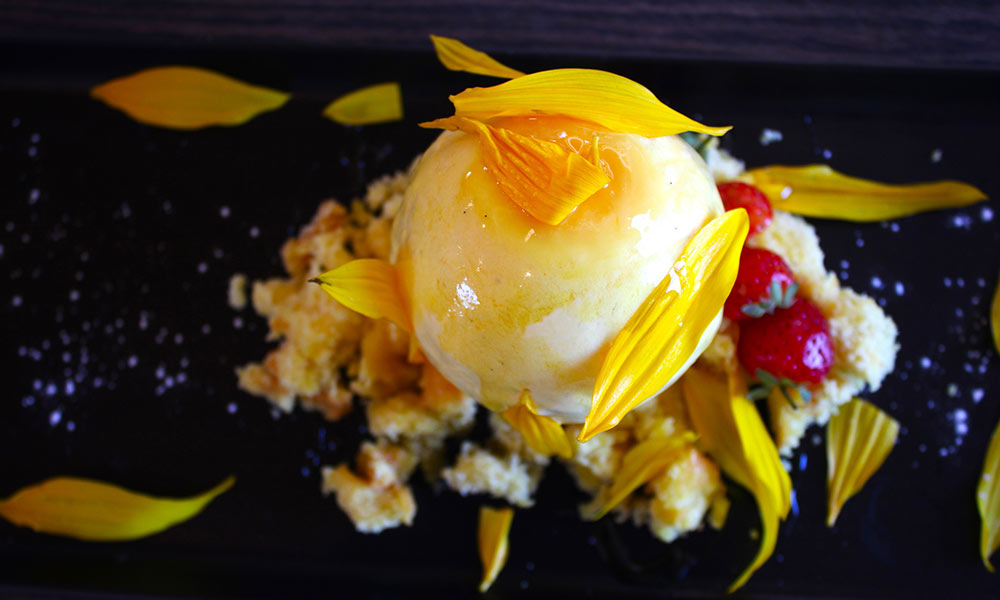 sunflower ice cream