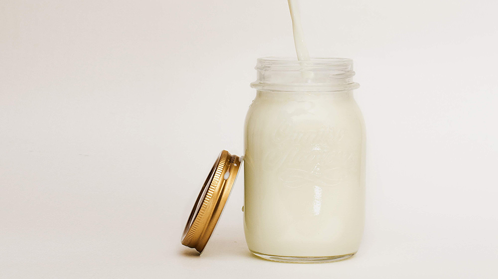 entomilk milk alternatives
