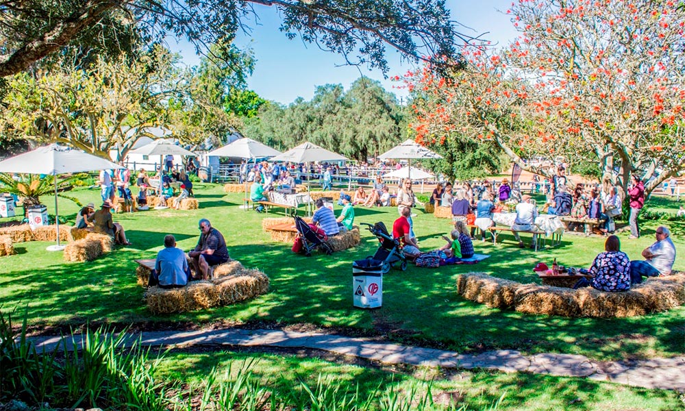 cheese festival 2022