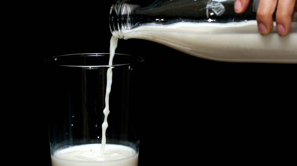 milk alternatives
