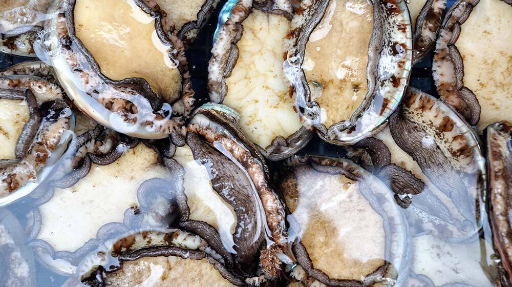 seafood delicacies