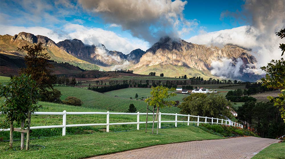 Brookdale Wine Estate
