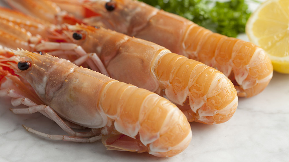 seafood delicacies