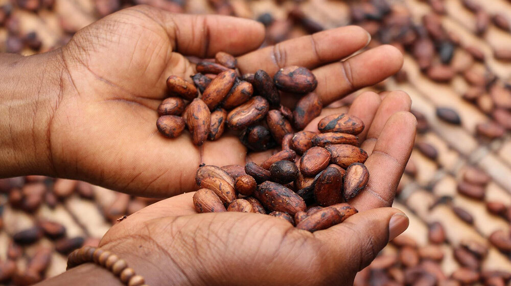 food trend impacts