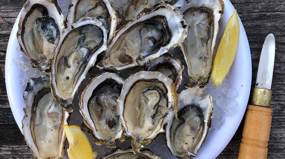 seafood delicacies