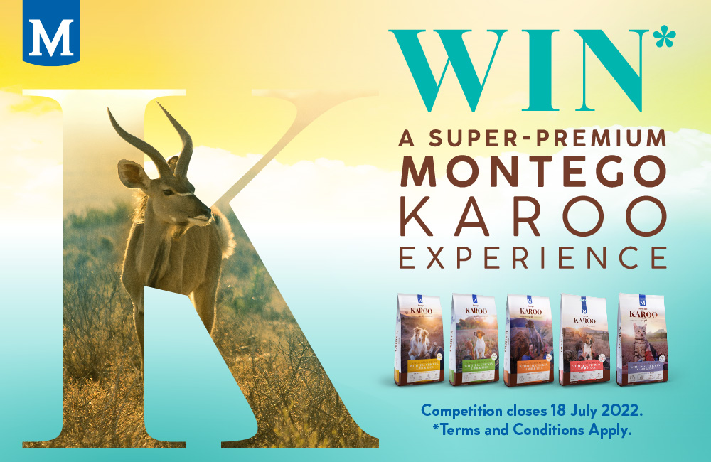 Montego Karoo Holiday