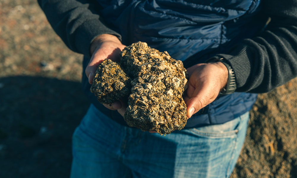 Kleine_Zalze-soil-RJ-Botha