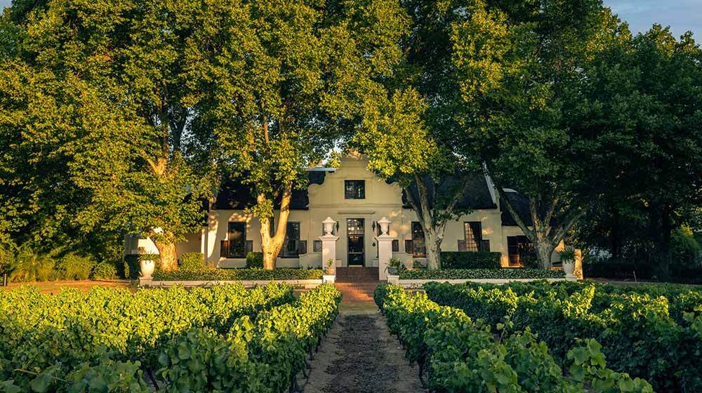 Nederburg wine estate