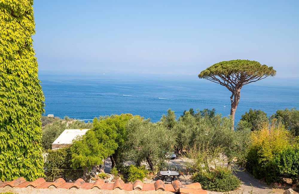 Il Giardino di Vigliano