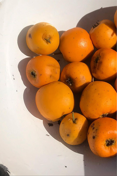seasonal produce