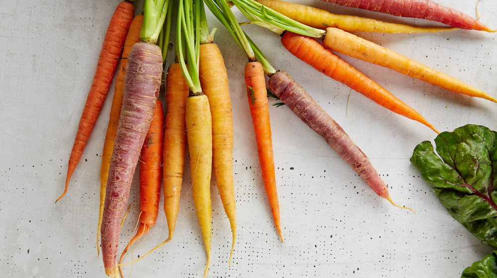 can dogs eat carrots
