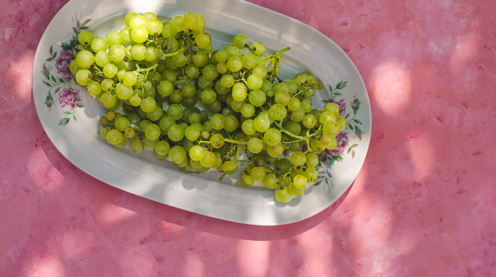why can't dogs eat grapes and raisins