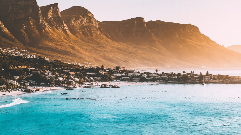 dog friendly beaches in Cape Town
