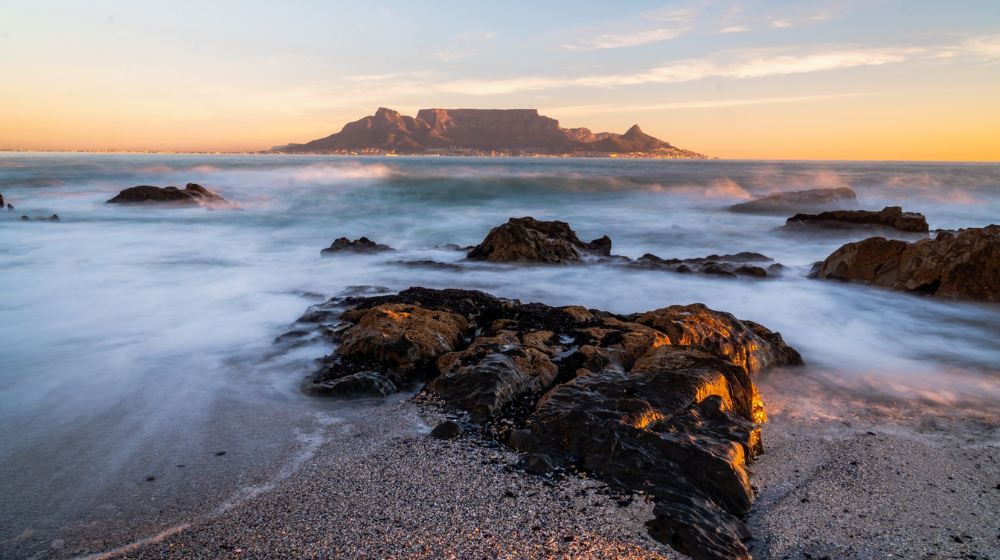 dog friendly beaches in Cape Town
