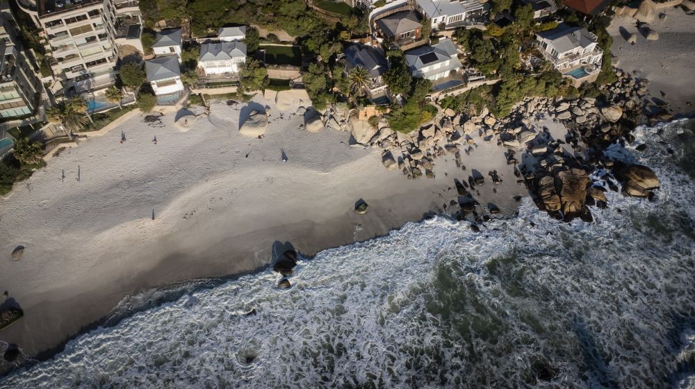 dog friendly beaches in Cape Town