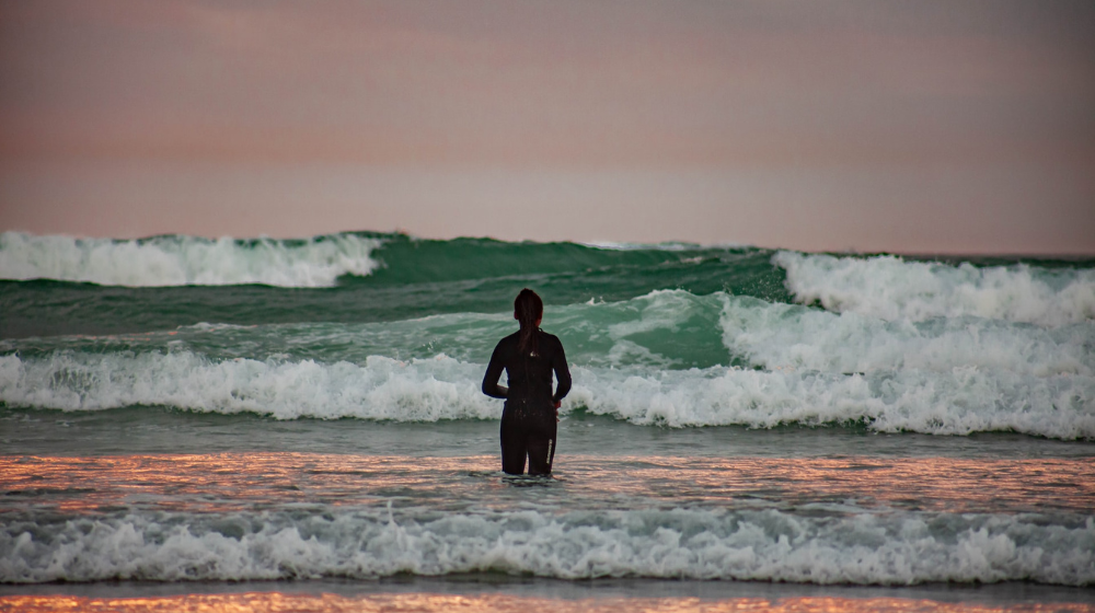 dog-friendly beaches in Cape Town