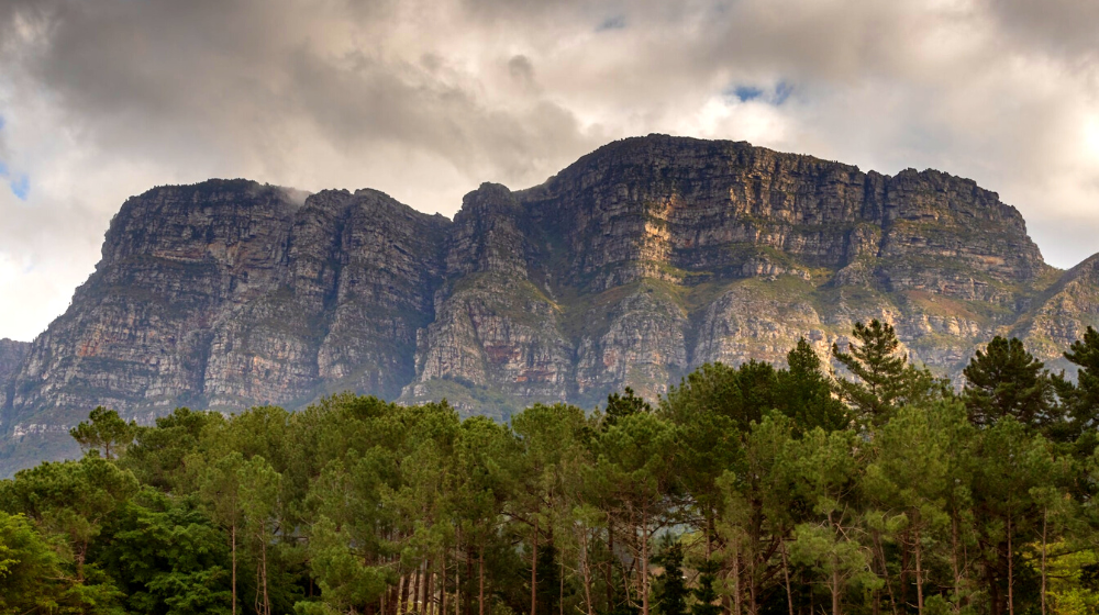 dog-friendly beaches in Cape Town