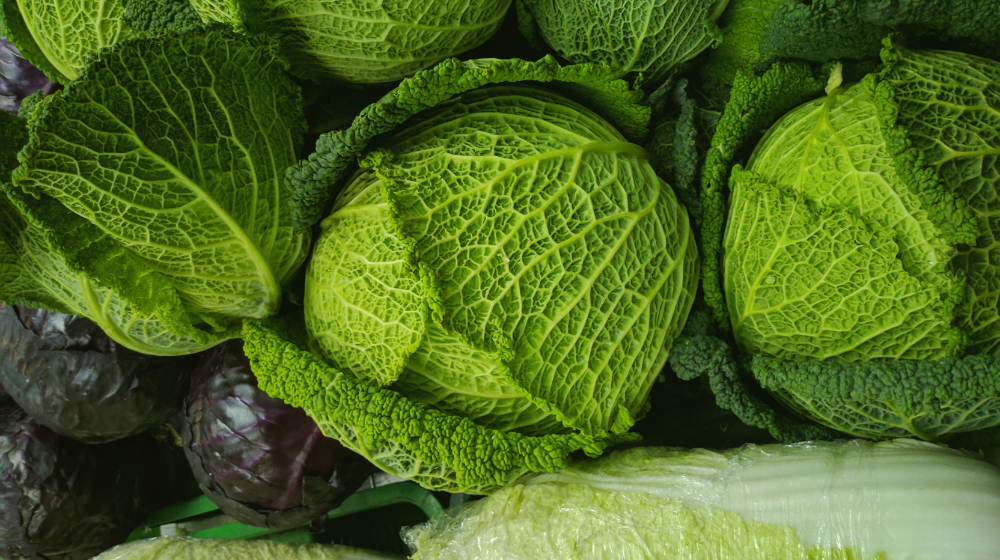 why does cabbage smell like fart?