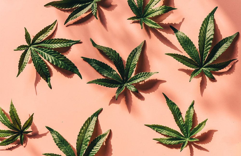 the difference between CBD & THC
