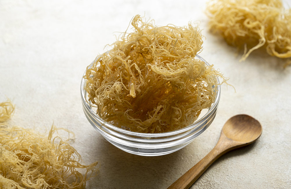 benefits of sea moss