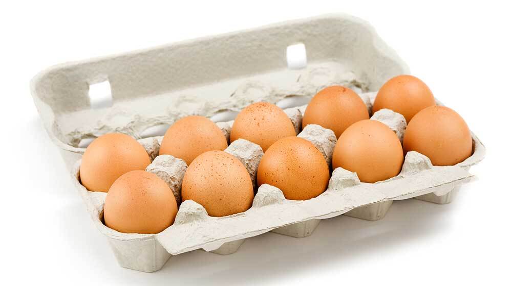 Avian flu outbreak South Africa