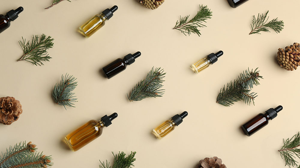 pine-smell-follow-your-nose