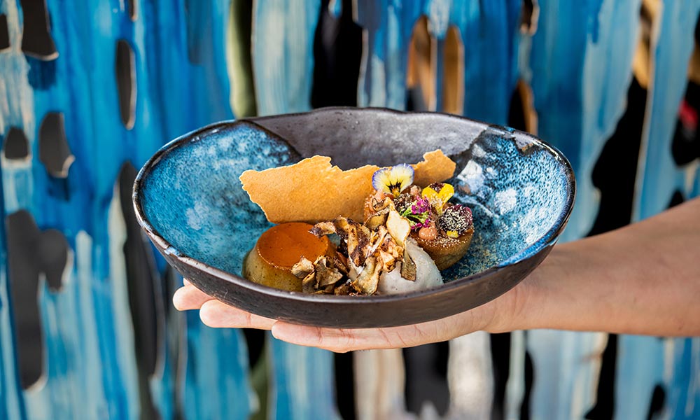 pot-luck-club malva