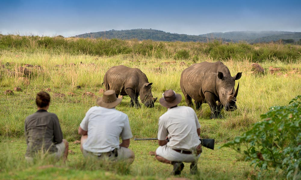 Mhondoro-Safari-Lodge