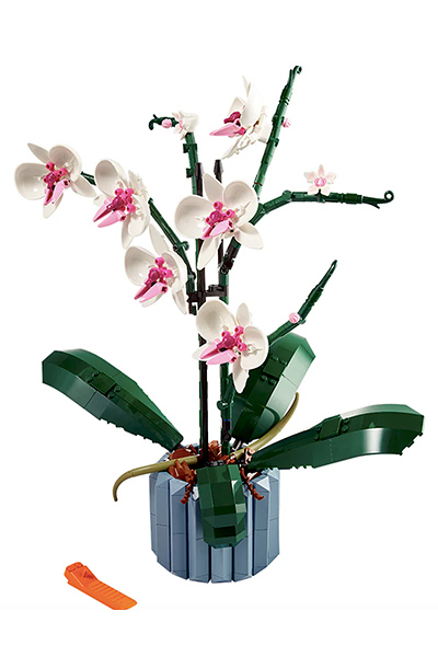 Valentine's Day gifts